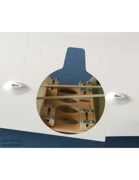 Avion rc, Catalina