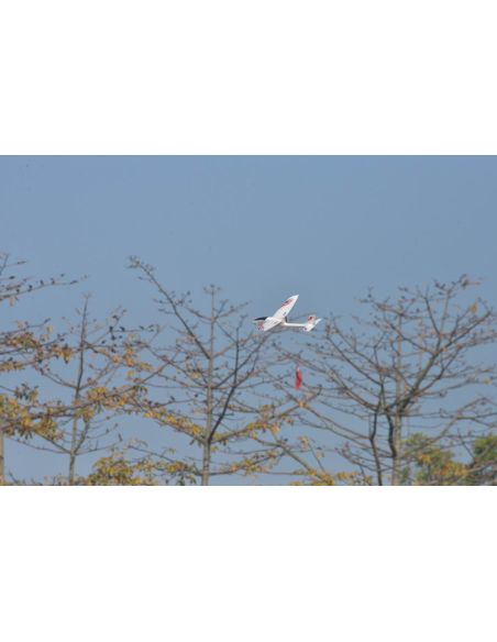 Planeur électrique Ranger 600 – 600mm pusher glider with Gyro 761-2 RTF