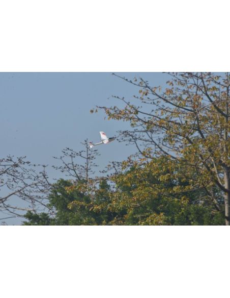 Planeur électrique Ranger 600 – 600mm pusher glider with Gyro 761-2 RTF