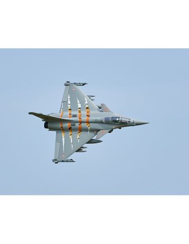 Avion rc Jet 64mm EDF Dassault Rafale PNP kit (Grey/Tiger) w/ reflex system