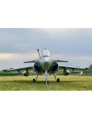 Avion rc Jet 64mm EDF Dassault Rafale PNP kit (Grey/Tiger) w/ reflex system