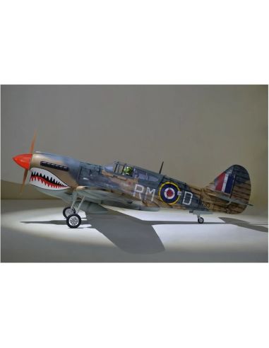 Avion rc Phoenix Model P40 Warhawk 30-35cc GP/EP ARF 2.04m