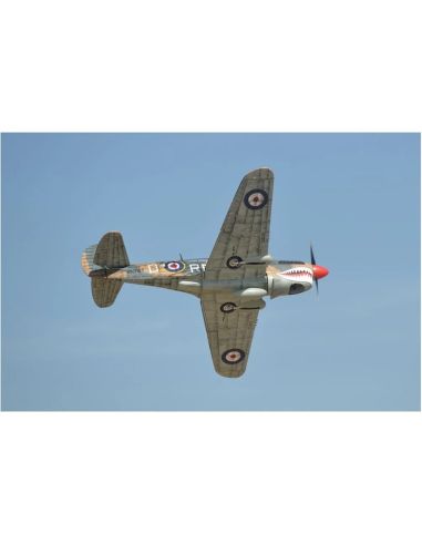 Avion rc Phoenix Model P40 Warhawk 30-35cc GP/EP ARF 2.04m