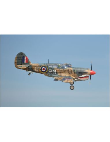 Avion rc Phoenix Model P40 Warhawk 30-35cc GP/EP ARF 2.04m