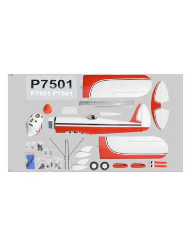 Avion rc Phoenix Model Ryan STA GP/EP ARF 1.80m