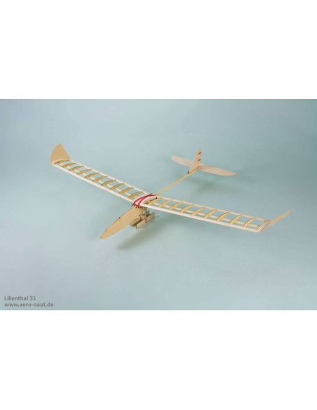 Planeur vol libre Lilienthal 31
