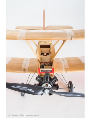 Avion rc Flamant d'Udet