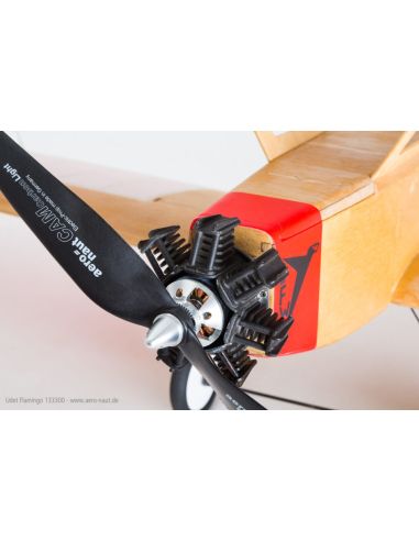 Avion rc Flamant d'Udet