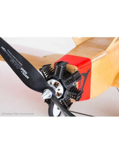 Avion rc Flamant d'Udet
