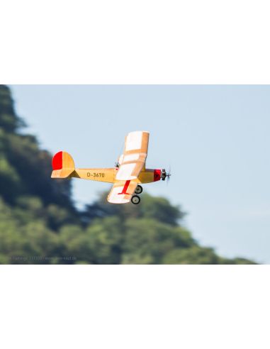 Avion rc Flamant d'Udet