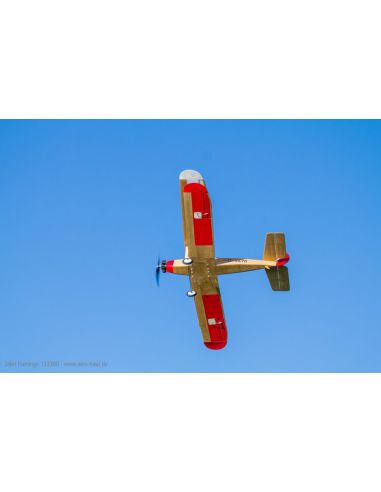 Avion rc Flamant d'Udet