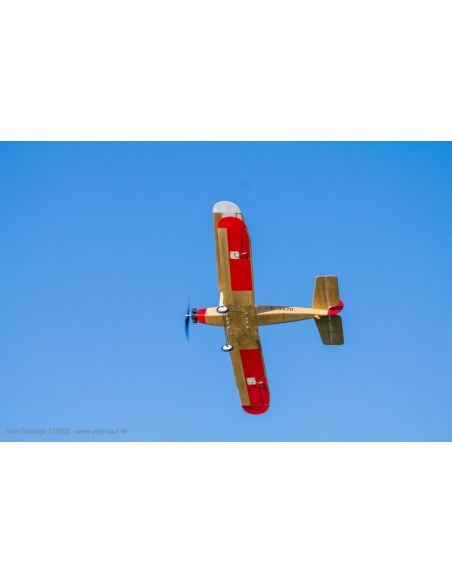 Avion rc Flamant d'Udet