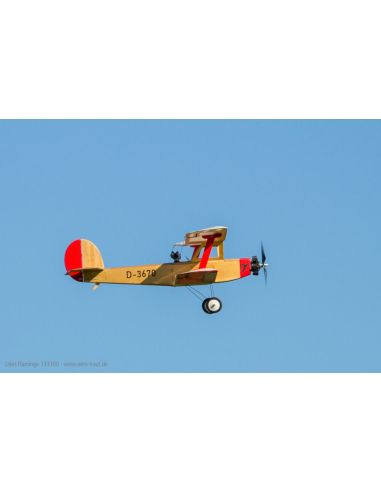 Avion rc Flamant d'Udet