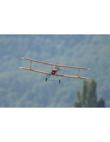 Avion rc Flamant d'Udet