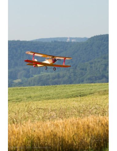 Avion rc Flamant d'Udet