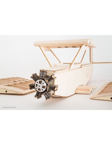 Avion rc Flamant d'Udet