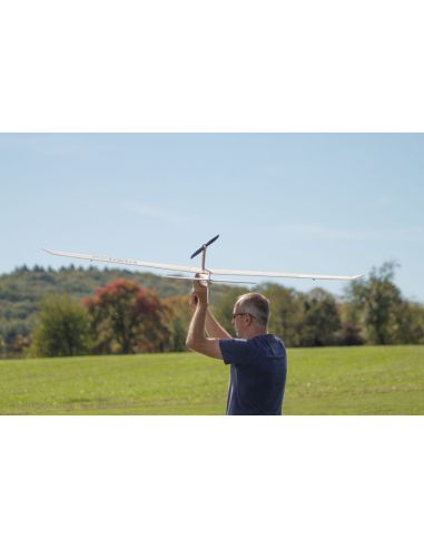Planeur rc, Modèle de planeur antique Falko