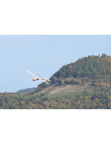 Planeur rc, Modèle de planeur antique Falko