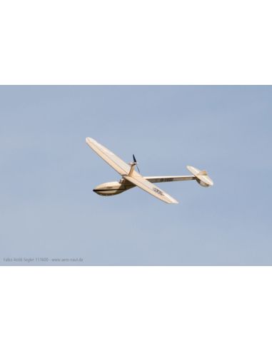 Planeur rc, Modèle de planeur antique Falko