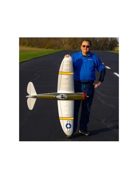AVION RC Avion Hangar 9 Funscale P47 PNP env.1.43m