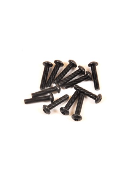 Vis six pans 3x14mm (12p)