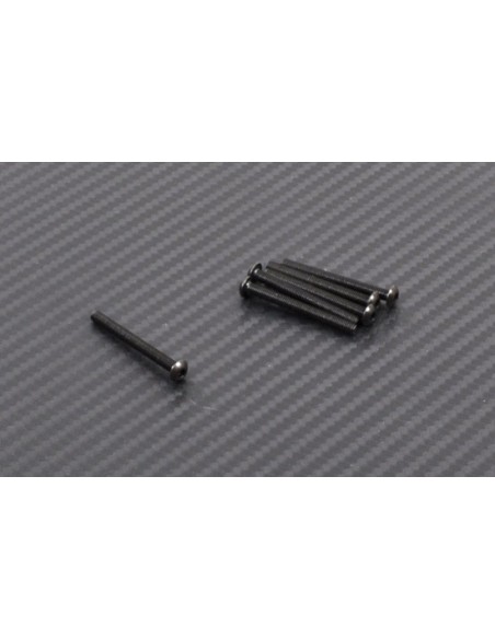 Vis tete ronde M3x30 (6p)