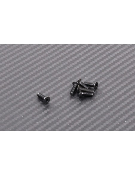 Vis tete fraisee M3x10 (6p)