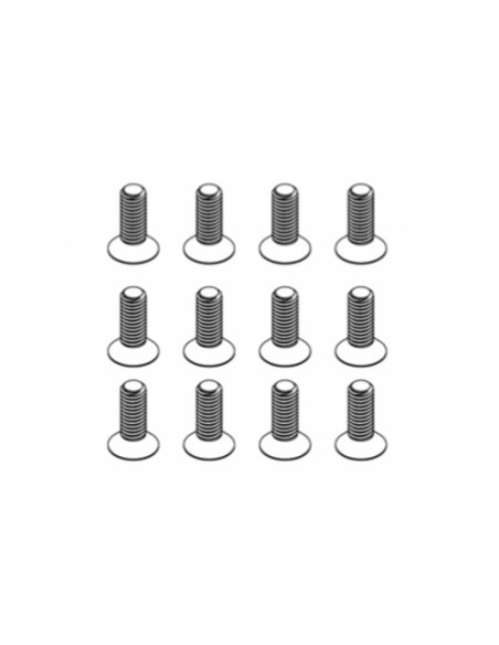 Vis tete fraisee 3x10mm (16p)