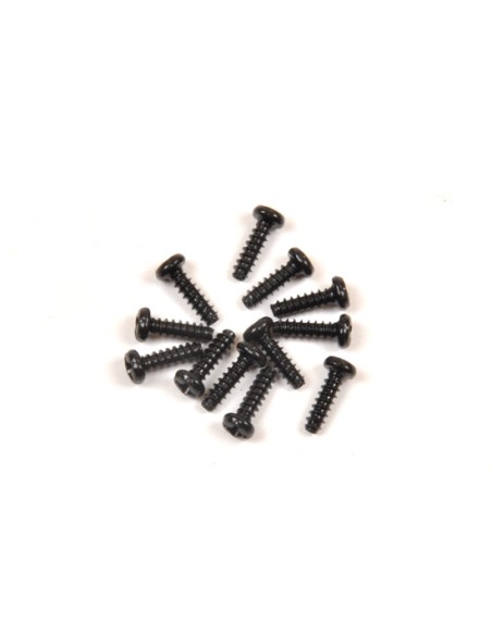 Vis tete ronde 3x10mm (12p)