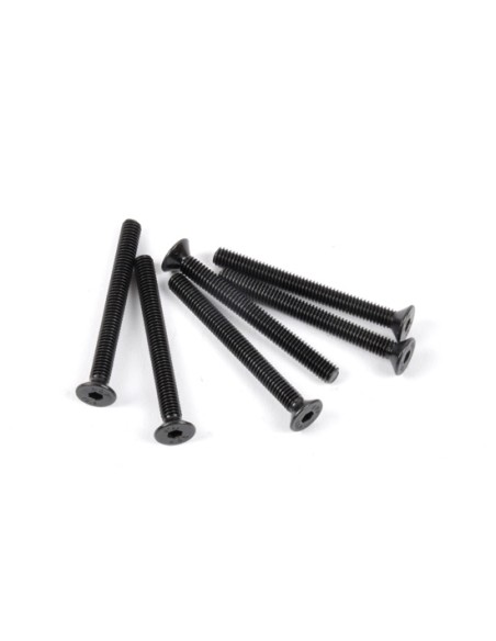 Vis tete ronde 4x30 (6p)
