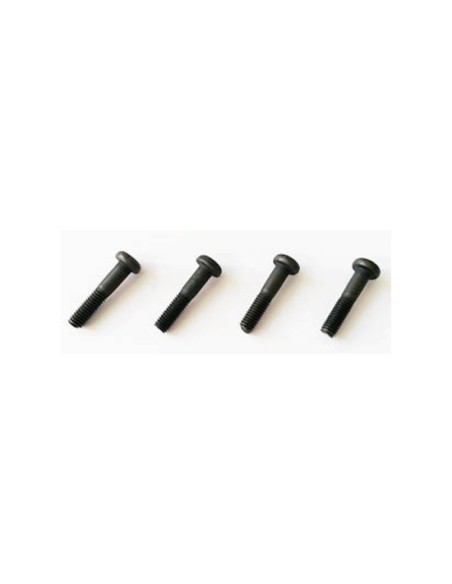 Vis de frein 3x14mm