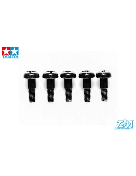 Vis pivot 3x10mm