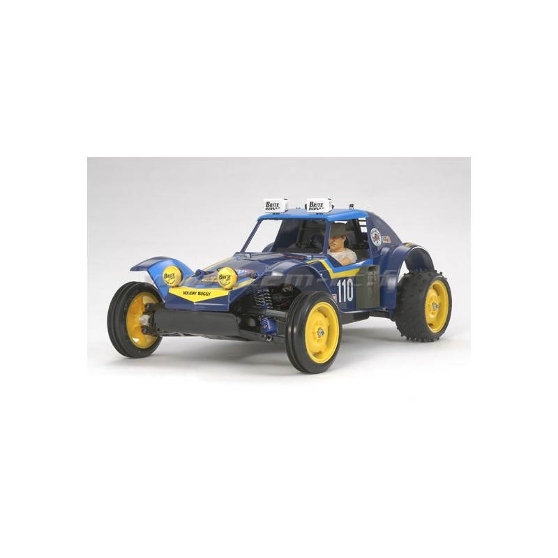Holiday Buggy 2010 DT02 | Ventedemodelisme.fr