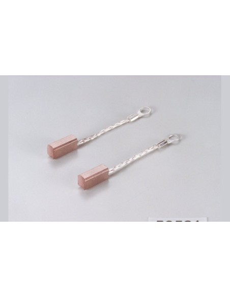Charbons moteur