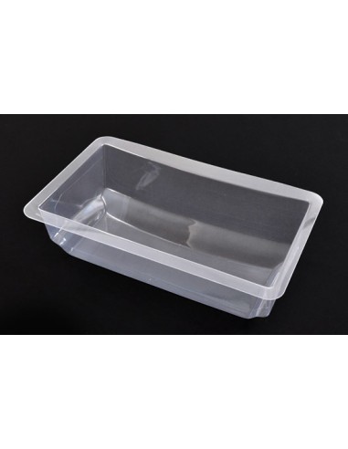 Aileron racing XF buggy