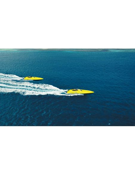 Bateau NEON HORNET MONO SPEED ??BOAT 345MM 2.4GHZ RTR