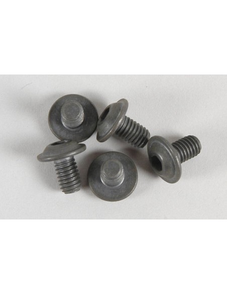 Vis allen M6x10 (5p)