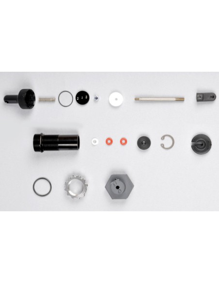 Amortisseur double piston