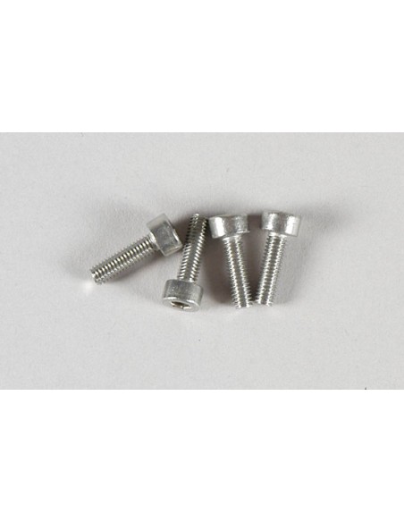 Vis de cylindre M3x10 (4p)