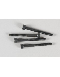 Vis Tx fixation etrier (4p)