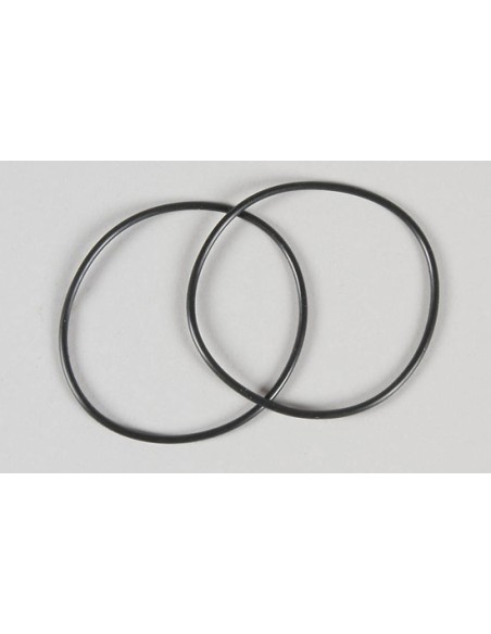O-ring 55mmx2  (2p)