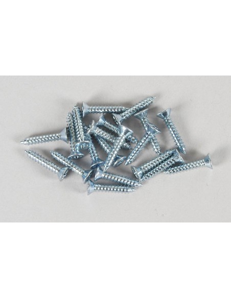 Vis 2.9x25mm (20p)