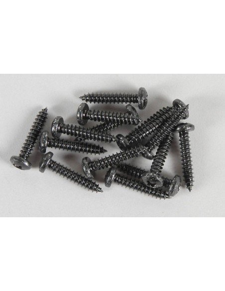 Vis 4.2x25mm (15p)