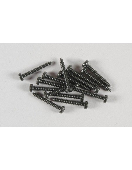 Vis Tx 2,9x22 (15p)