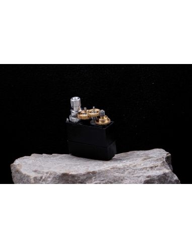 Servo numérique Robbe Modellsport FS 166 BB MG HV 120°