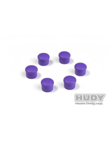 Bouchon de manche 18mm violet (6)