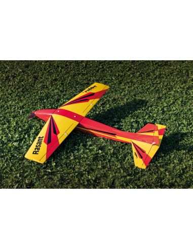 Modelisme rc Robbe Modellsport Rasant Speed Edition anniversaire 50 ans Version électrique