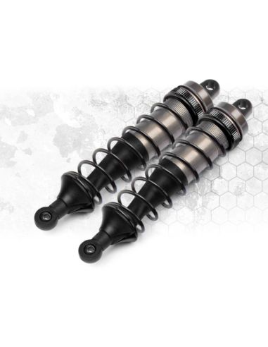 VOITURE BUGGY VORZA S FLUX