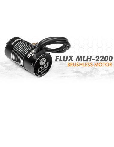 VOITURE BUGGY VORZA S FLUX