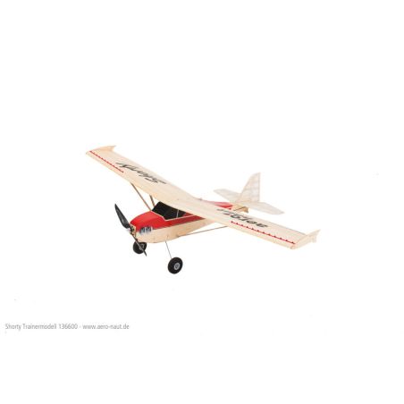 Avion rc Modèle de basket shorty